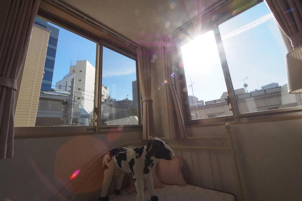 Apartament 【Great Location!】Near Shinjuku Sta./Girls #302 Tokio Zewnętrze zdjęcie
